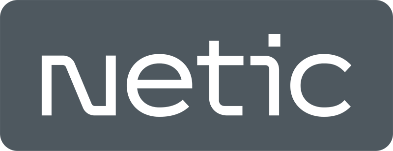 Netic Logo Grey